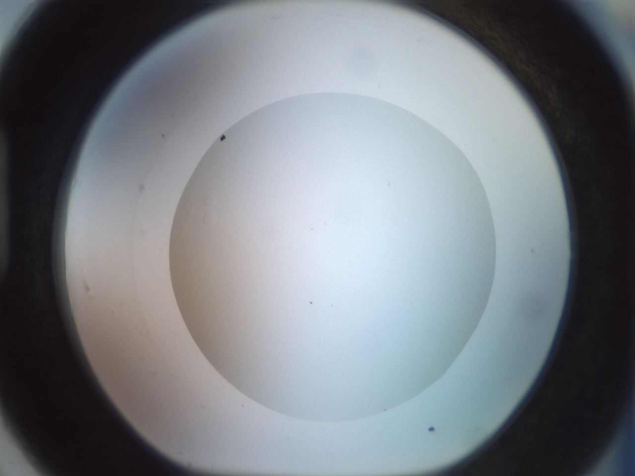 folderID494_plateID2494_batchID12066_wellNum91_profileID1_d1_r187382_ef.jpg