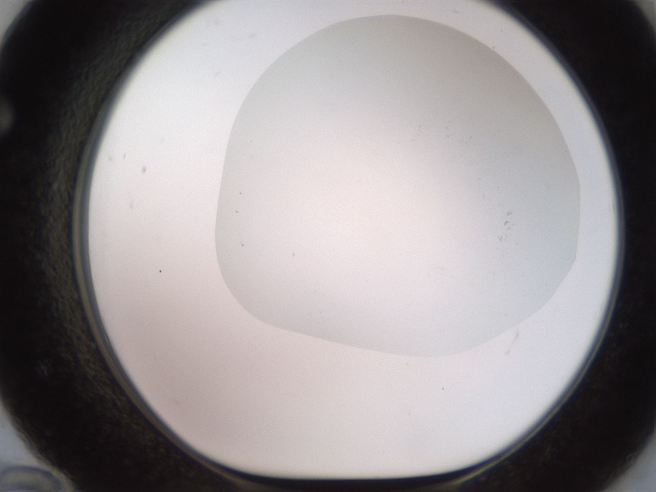 folderID495_plateID2495_batchID12071_wellNum72_profileID1_d1_r187651_ef.jpg