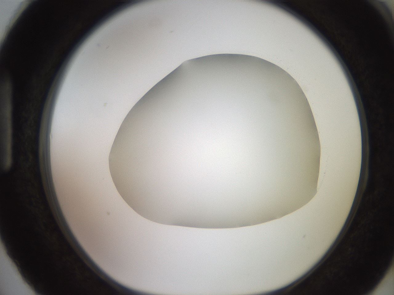 folderID495_plateID2495_batchID12071_wellNum87_profileID1_d1_r187666_ef.jpg
