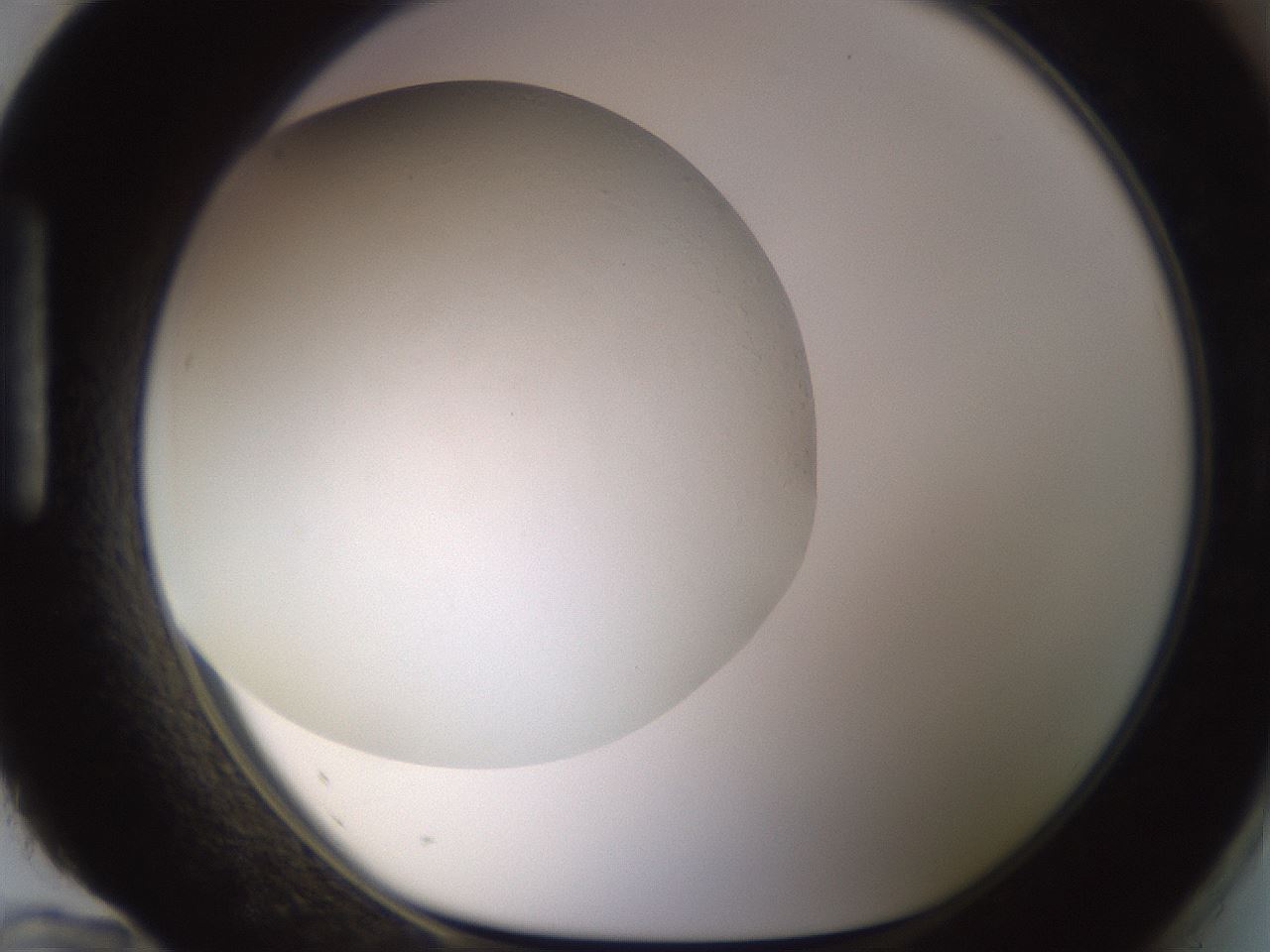 folderID496_plateID1496_batchID5900_wellNum96_profileID1_d1_r95246_ef.jpg