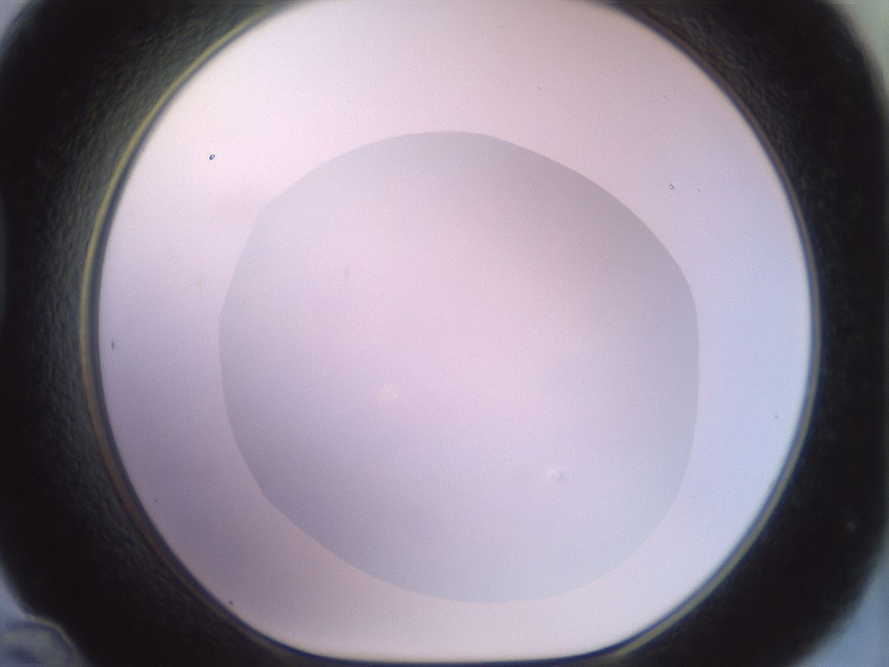 folderID496_plateID2496_batchID12070_wellNum48_profileID1_d1_r187531_ef.jpg