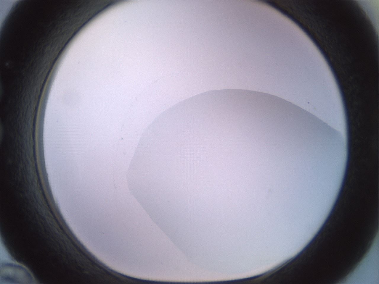 folderID498_plateID2498_batchID12074_wellNum36_profileID1_d1_r187711_ef.jpg