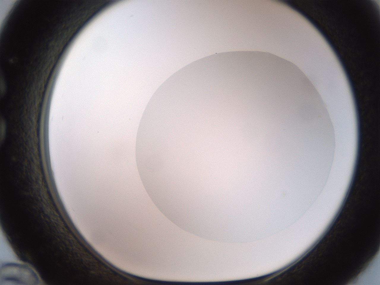 folderID499_plateID2499_batchID12078_wellNum36_profileID1_d1_r187903_ef.jpg