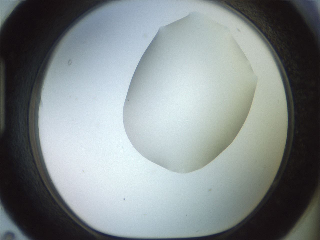folderID500_plateID2500_batchID12080_wellNum95_profileID1_d1_r188058_ef.jpg