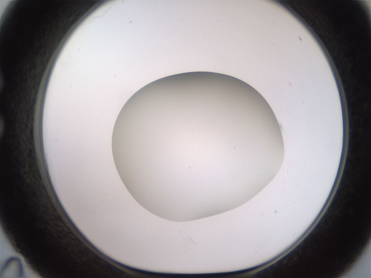 folderID501_plateID2501_batchID12082_wellNum35_profileID1_d1_r188094_ef.jpg