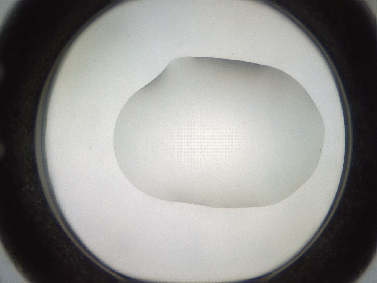 folderID501_plateID2501_batchID12082_wellNum50_profileID1_d1_r188109_ef.jpg