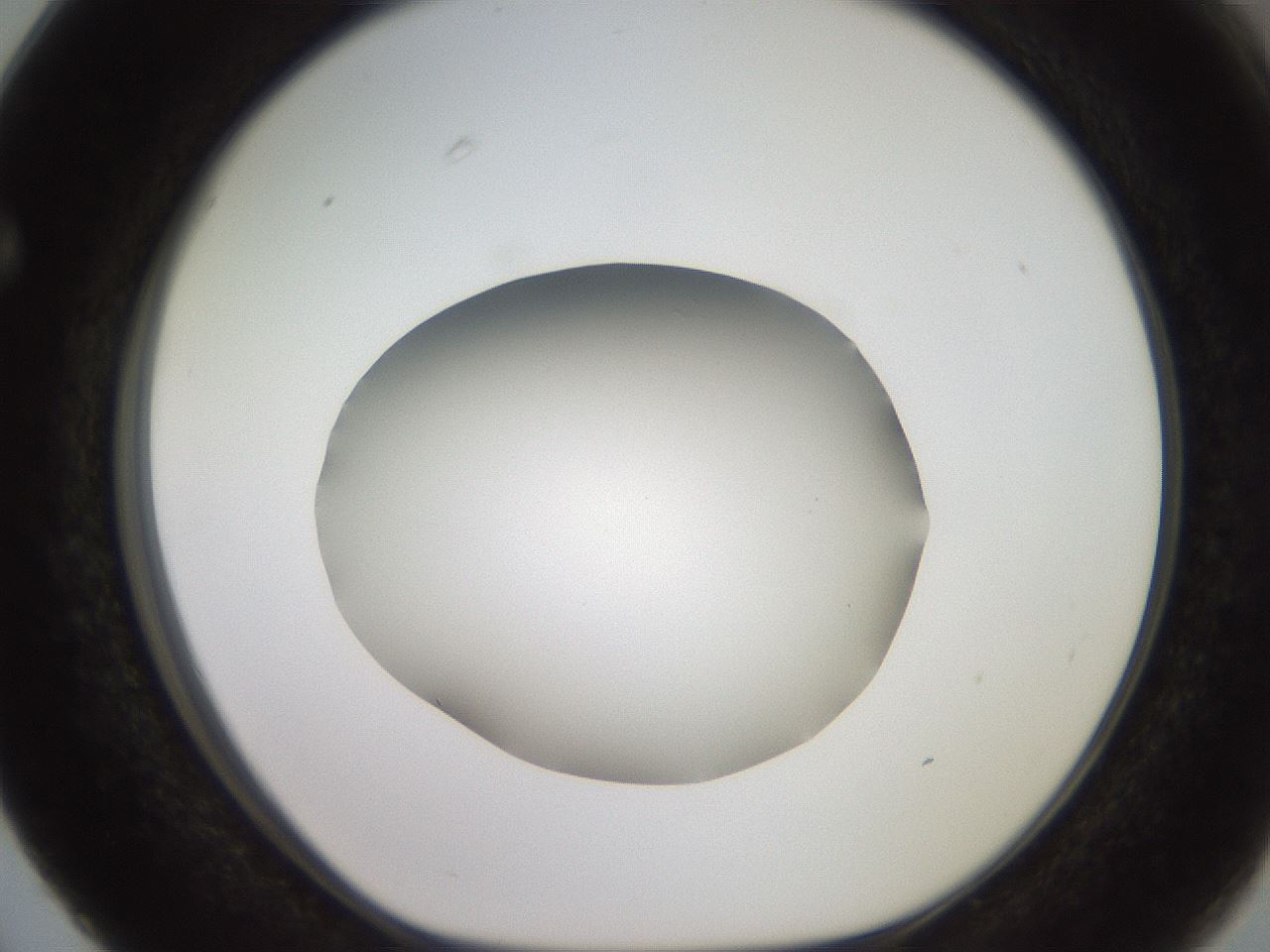 folderID501_plateID2501_batchID12082_wellNum63_profileID1_d1_r188122_ef.jpg