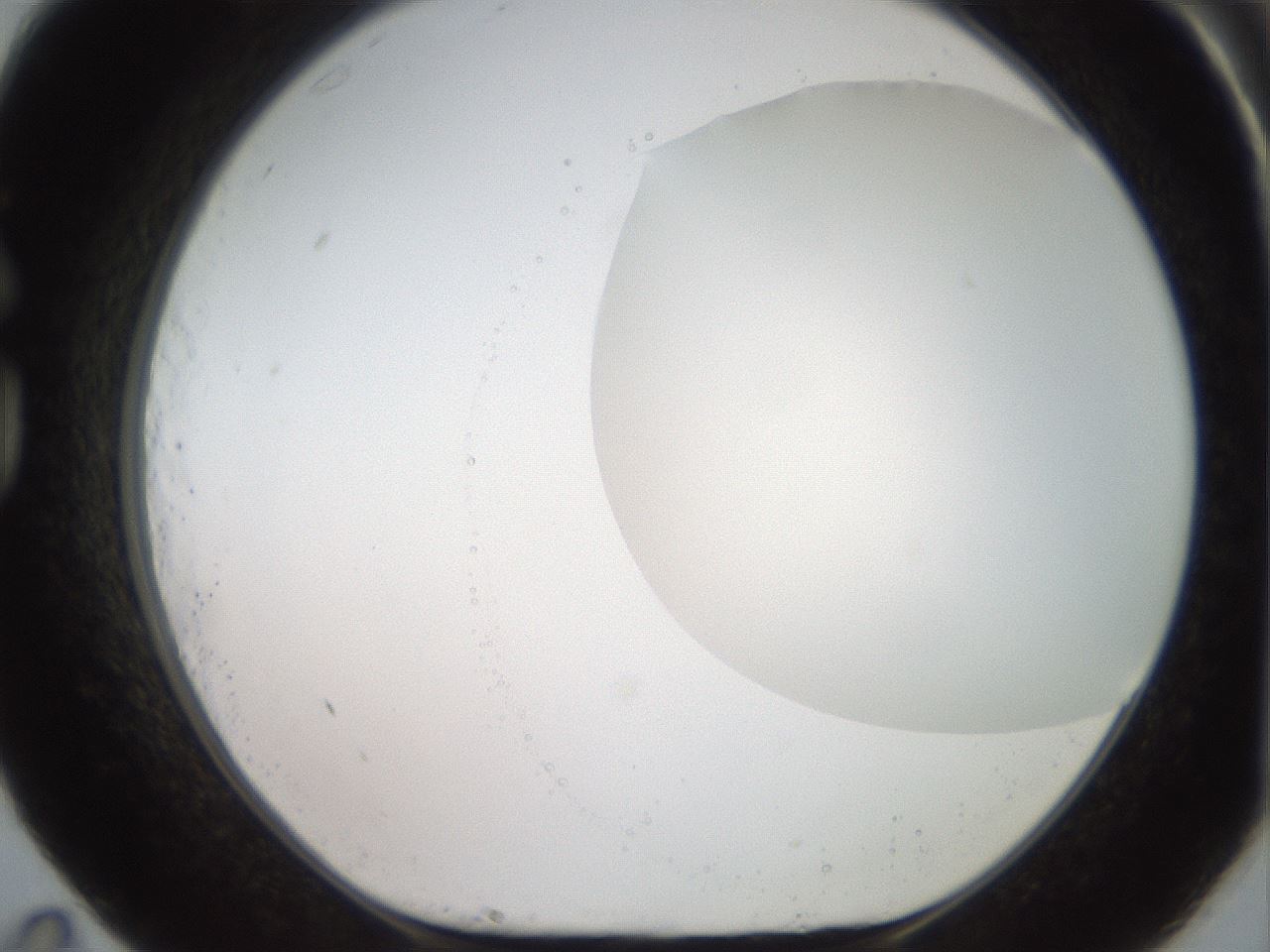 folderID501_plateID2501_batchID12082_wellNum83_profileID1_d1_r188142_ef.jpg