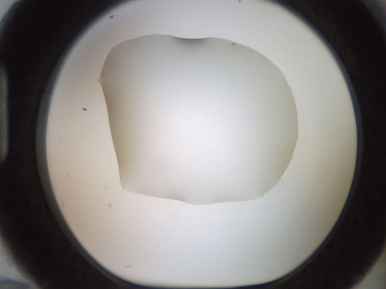folderID501_plateID2501_batchID12082_wellNum94_profileID1_d1_r188153_ef.jpg