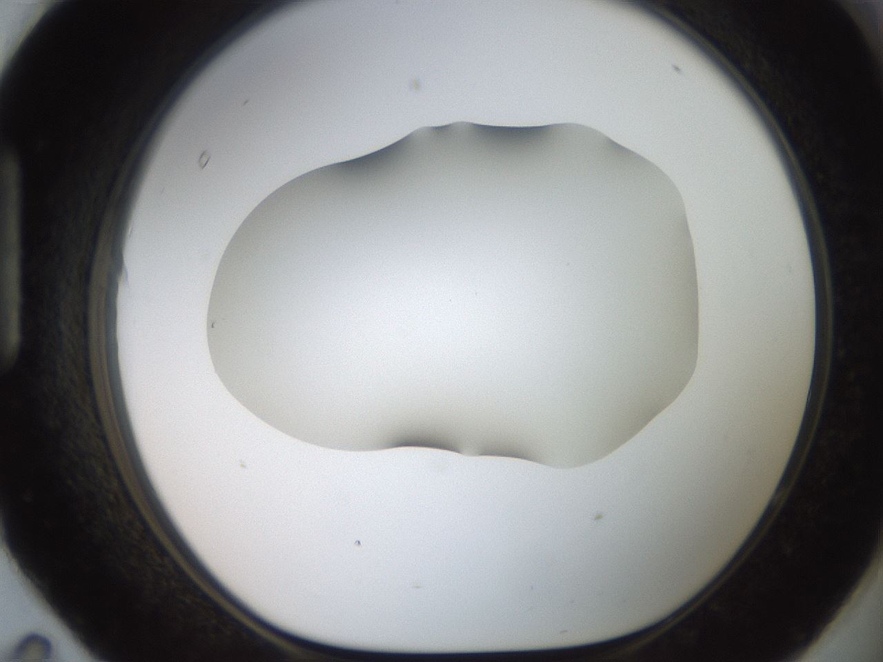 folderID501_plateID2501_batchID12082_wellNum95_profileID1_d1_r188154_ef.jpg