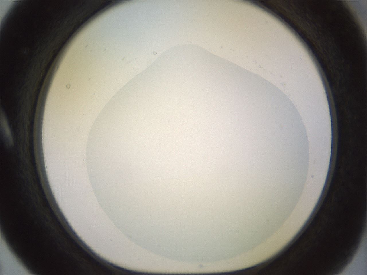 folderID502_plateID2502_batchID12084_wellNum5_profileID1_d1_r188256_ef.jpg
