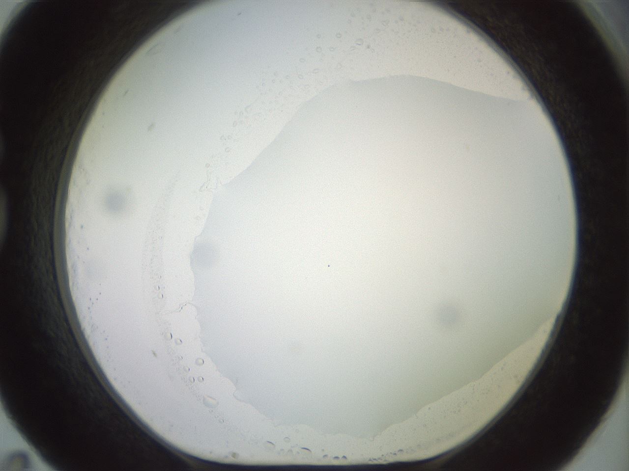 folderID502_plateID2502_batchID12084_wellNum83_profileID1_d1_r188334_ef.jpg