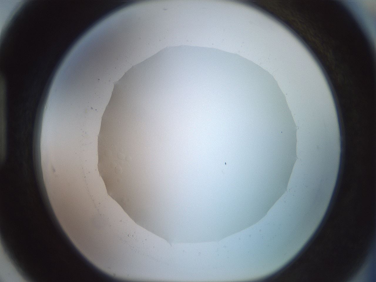 folderID502_plateID2502_batchID12084_wellNum91_profileID1_d1_r188342_ef.jpg