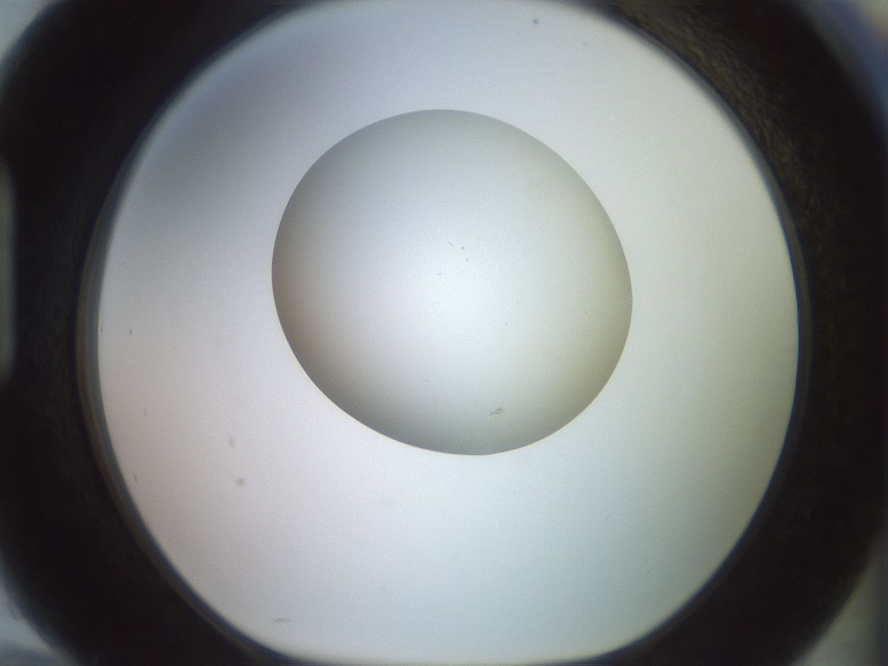folderID502_plateID2502_batchID12084_wellNum94_profileID1_d1_r188345_ef.jpg