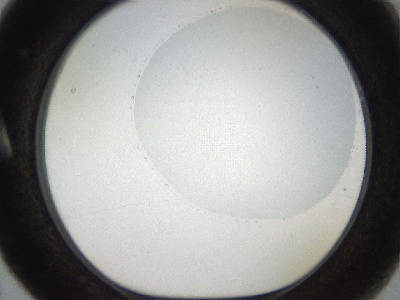 folderID503_plateID2503_batchID12083_wellNum5_profileID1_d1_r188160_ef.jpg