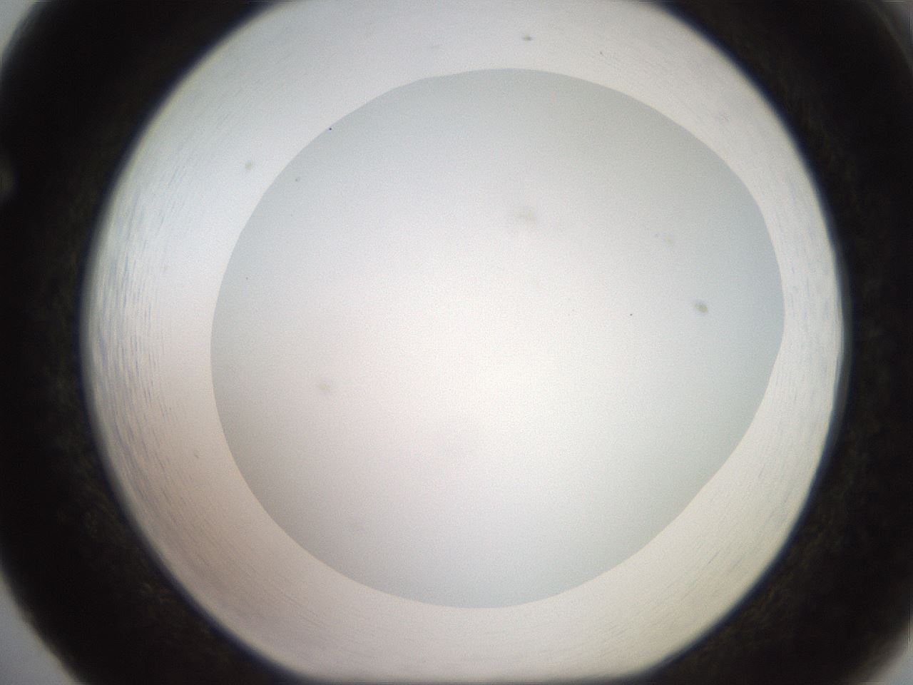 folderID503_plateID2503_batchID12083_wellNum65_profileID1_d1_r188220_ef.jpg