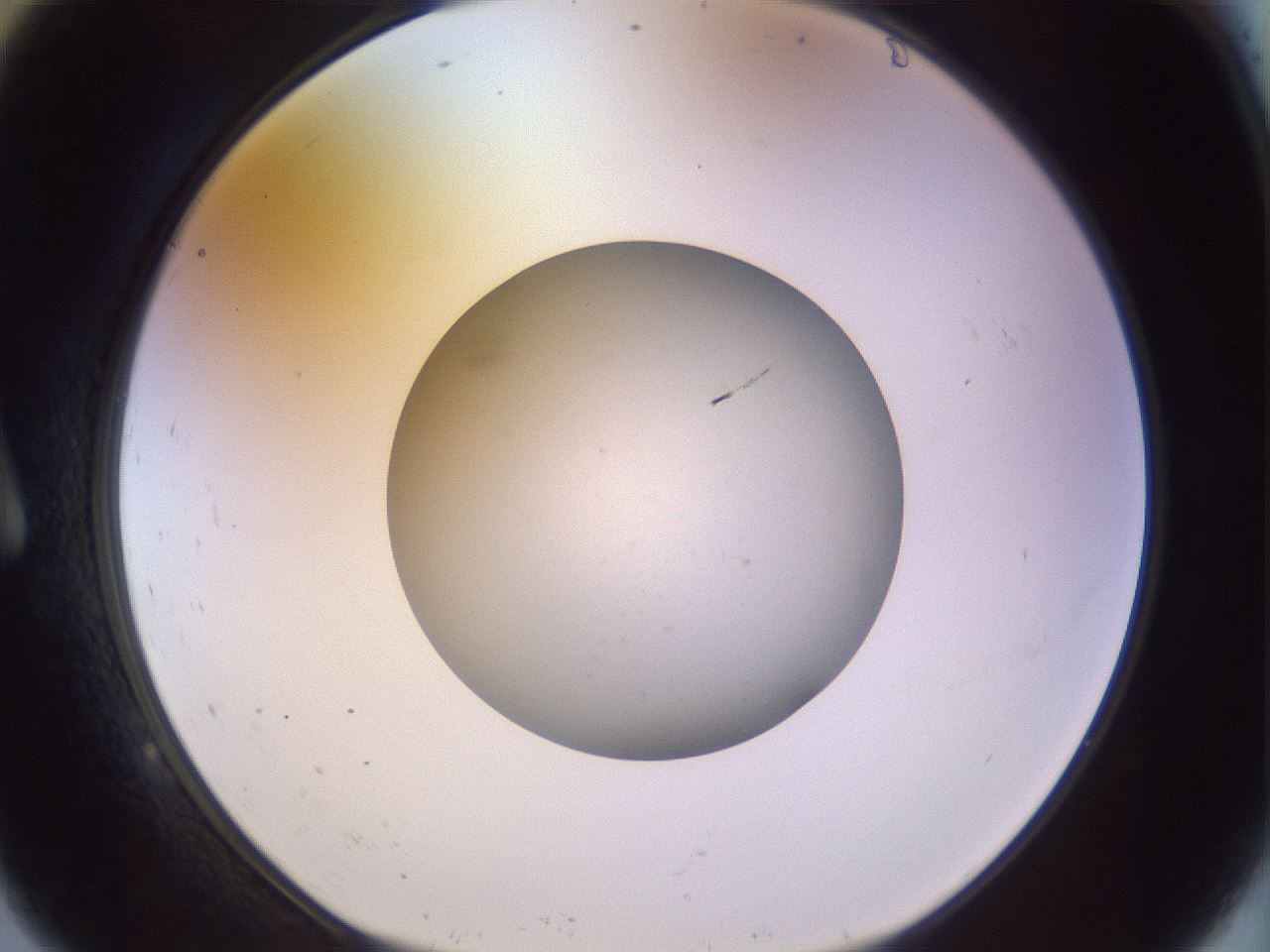 folderID504_plateID1504_batchID5871_wellNum9_profileID1_d1_r95545_ef.jpg