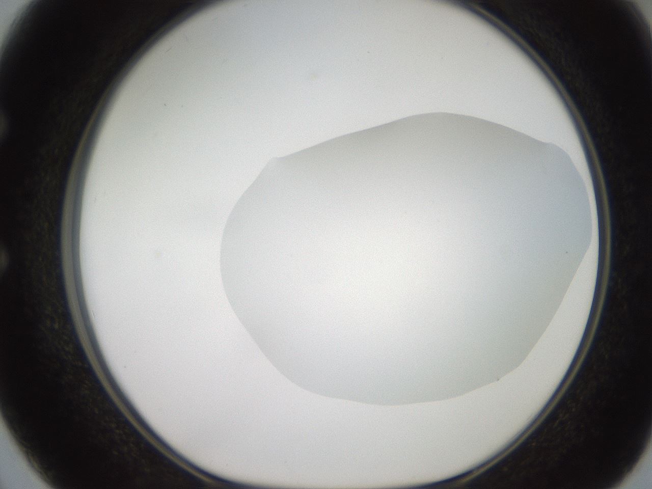 folderID505_plateID2505_batchID12086_wellNum50_profileID1_d1_r188397_ef.jpg