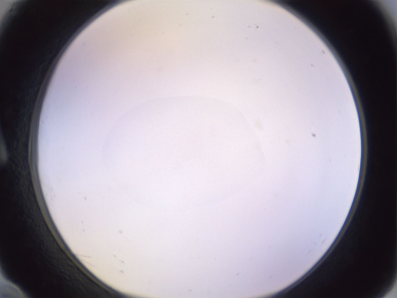 folderID505_plateID1505_batchID5934_wellNum10_profileID1_d1_r95258_ef.jpg