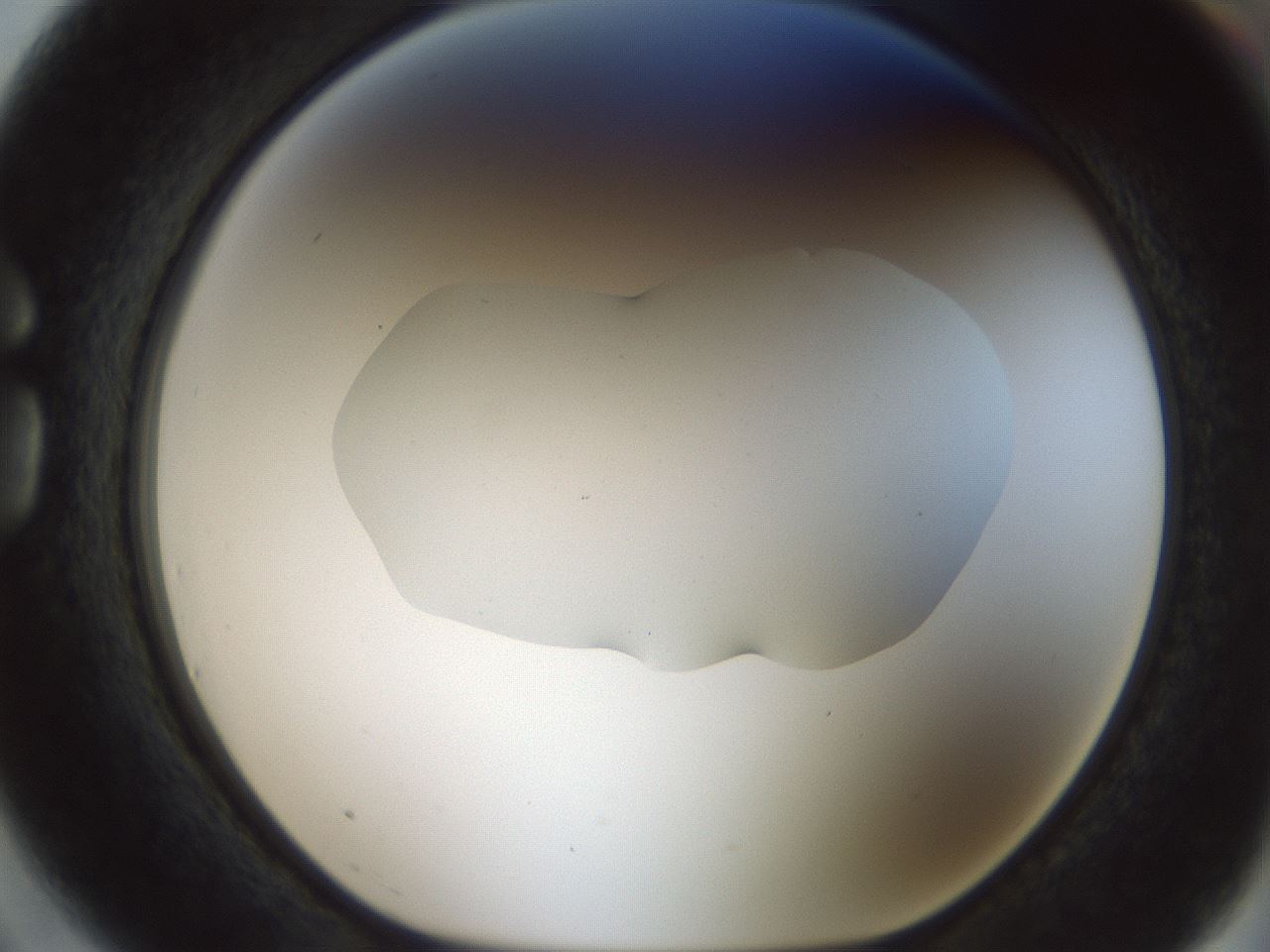 folderID506_plateID1506_batchID5853_wellNum75_profileID1_d1_r96091_ef.jpg