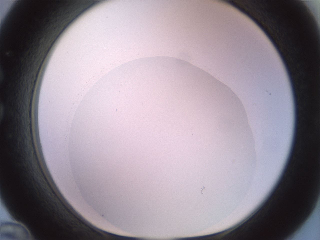 folderID506_plateID2506_batchID12090_wellNum36_profileID1_d1_r188671_ef.jpg