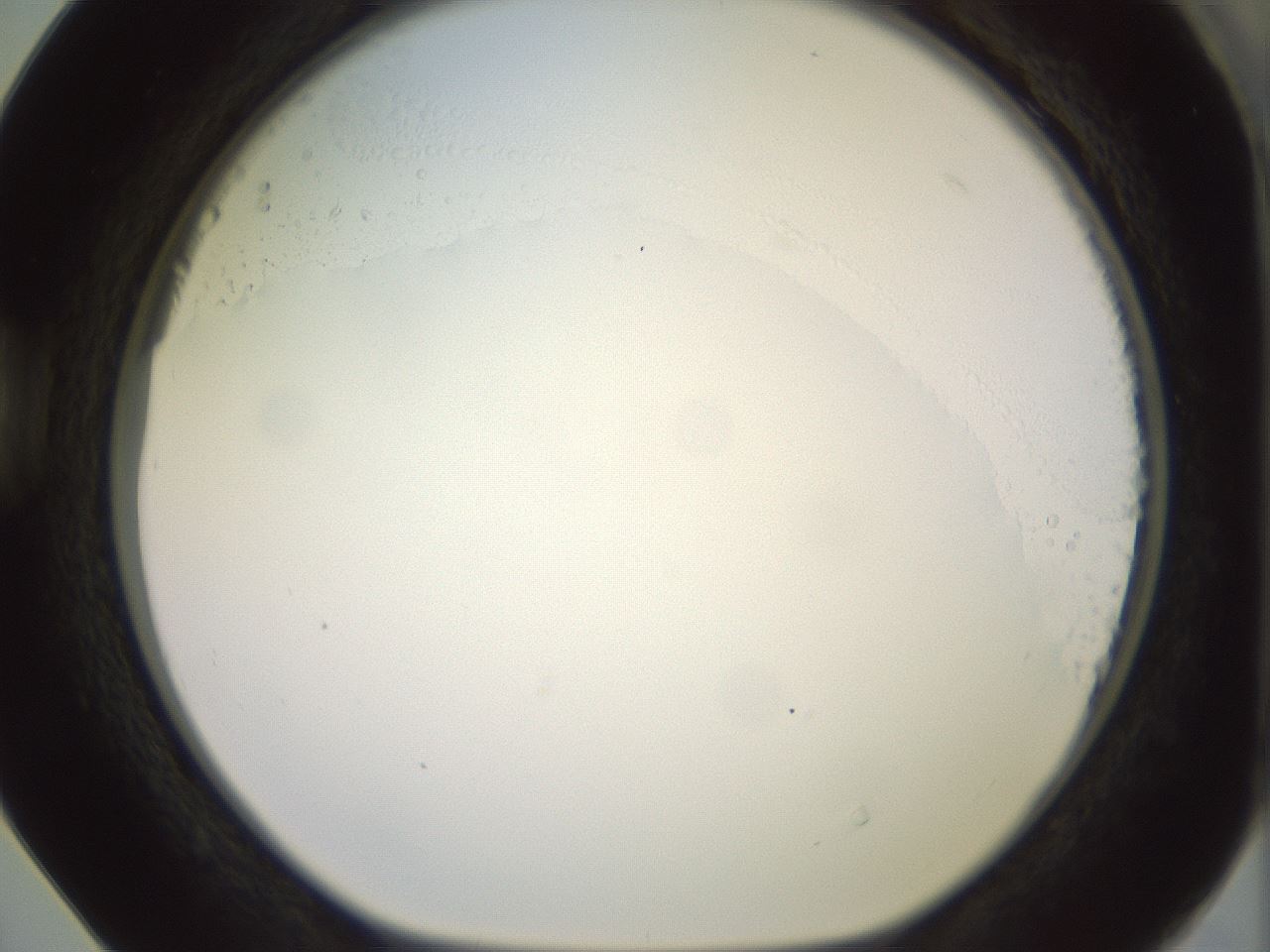 folderID506_plateID2506_batchID12090_wellNum40_profileID1_d1_r188675_ef.jpg