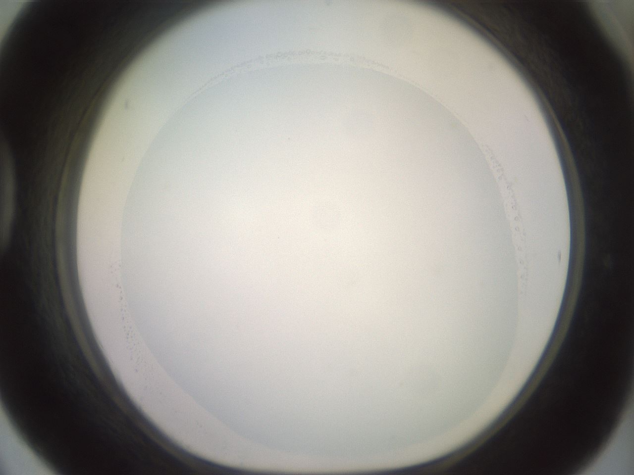 folderID506_plateID2506_batchID12090_wellNum42_profileID1_d1_r188677_ef.jpg