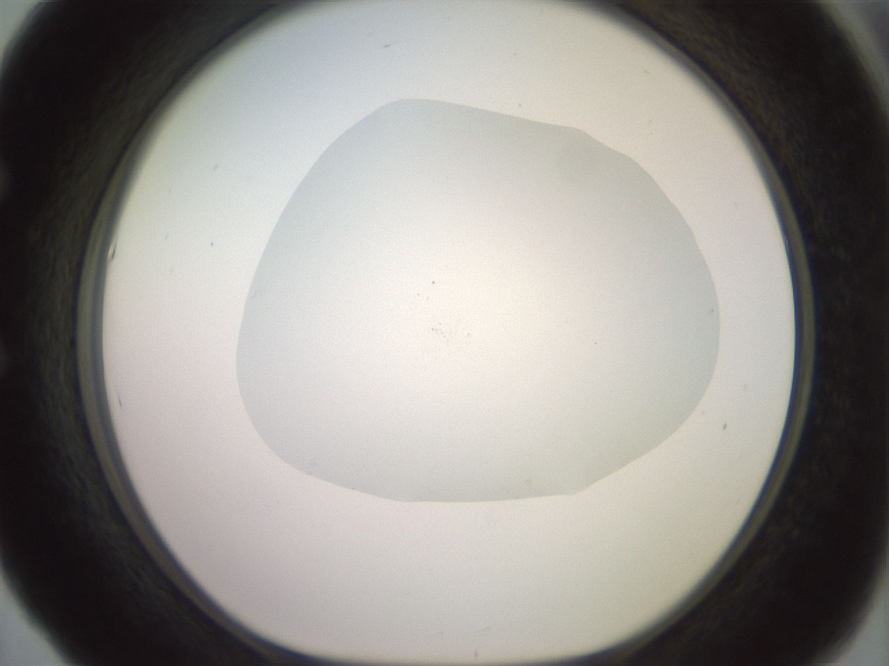 folderID506_plateID2506_batchID12090_wellNum53_profileID1_d1_r188688_ef.jpg