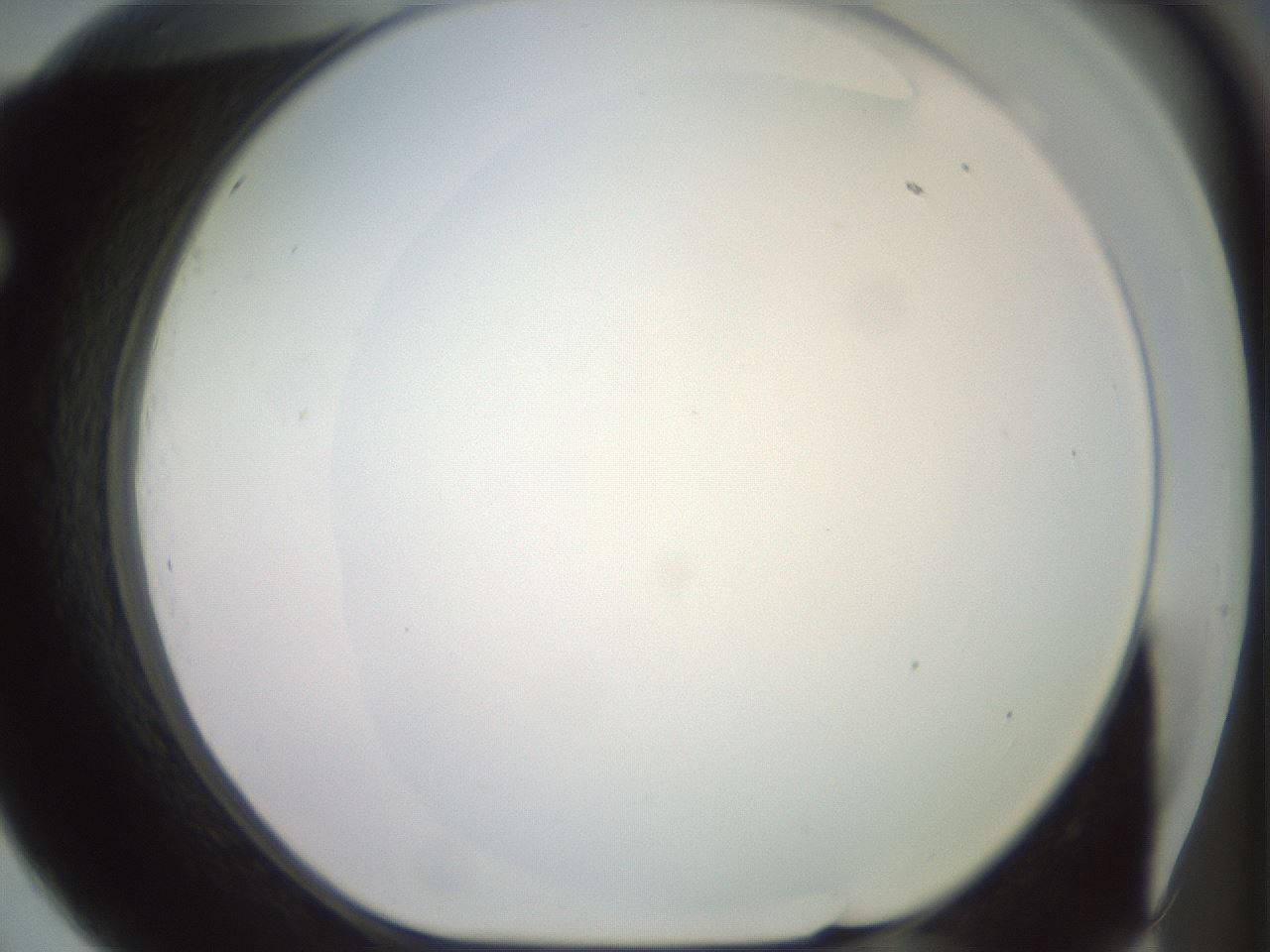 folderID506_plateID2506_batchID12090_wellNum69_profileID1_d1_r188704_ef.jpg
