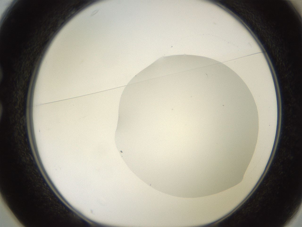 folderID507_plateID2507_batchID12089_wellNum25_profileID1_d1_r188564_ef.jpg