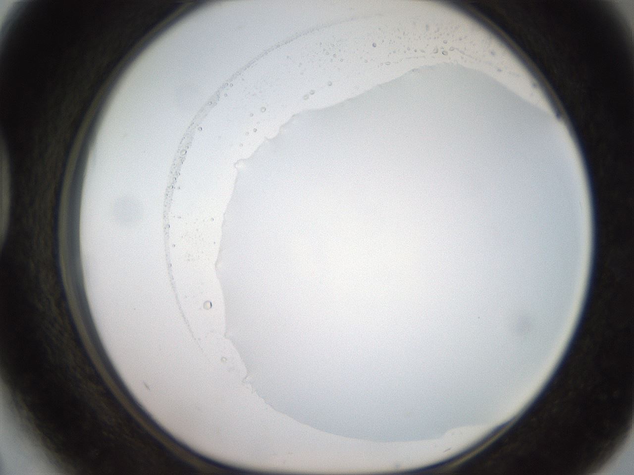 folderID507_plateID2507_batchID12089_wellNum41_profileID1_d1_r188580_ef.jpg
