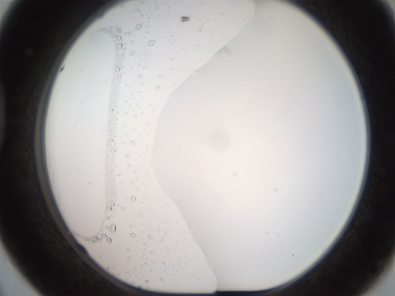 folderID507_plateID2507_batchID12089_wellNum44_profileID1_d1_r188583_ef.jpg