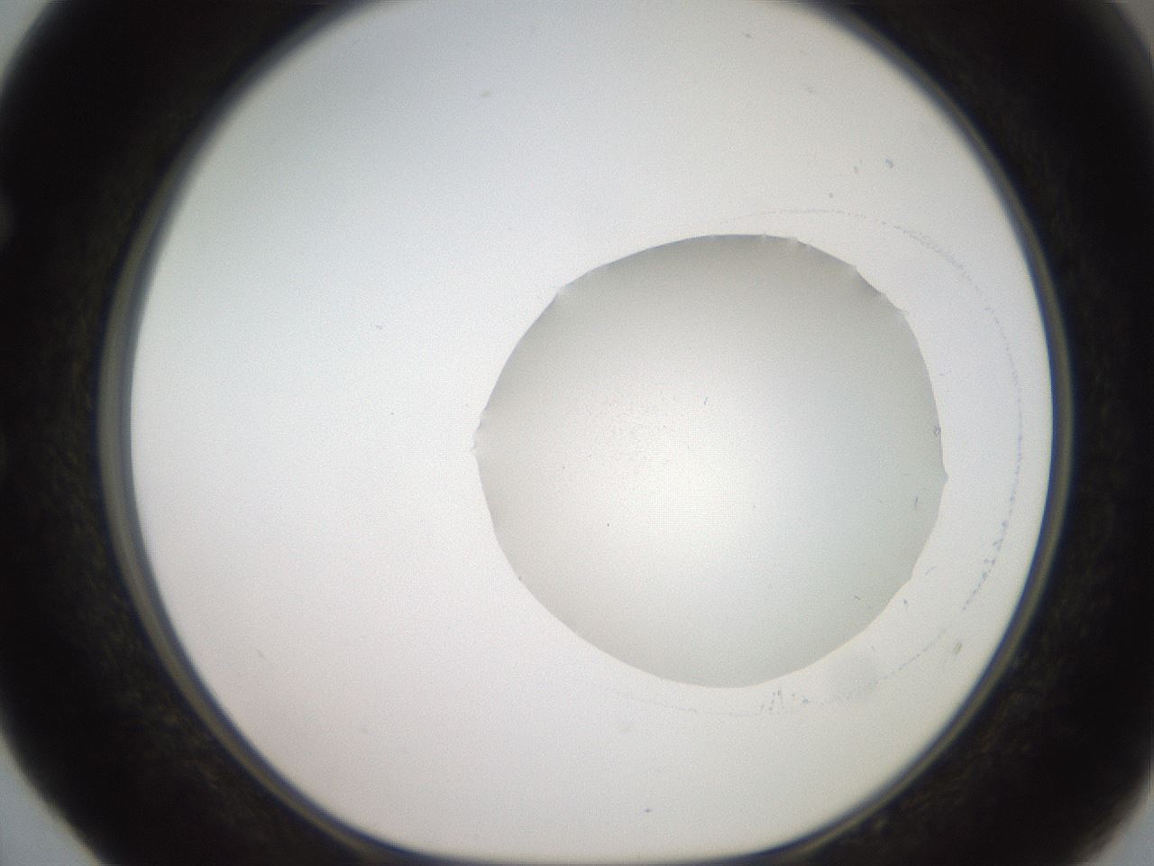 folderID507_plateID2507_batchID12089_wellNum52_profileID1_d1_r188591_ef.jpg