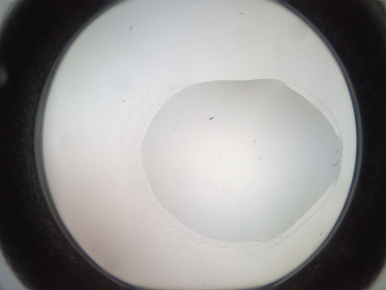 folderID507_plateID2507_batchID12089_wellNum62_profileID1_d1_r188601_ef.jpg