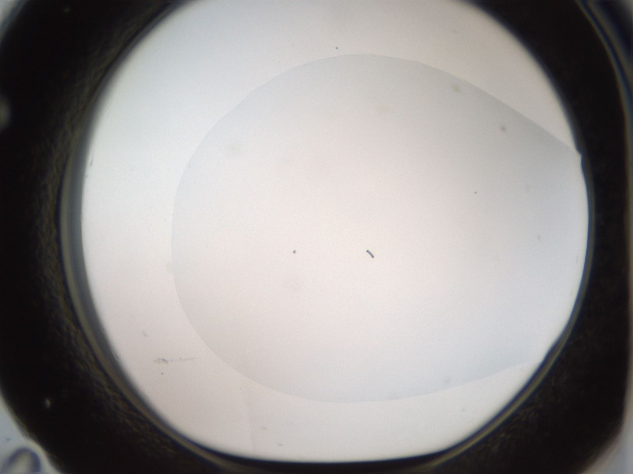 folderID507_plateID2507_batchID12089_wellNum71_profileID1_d1_r188610_ef.jpg