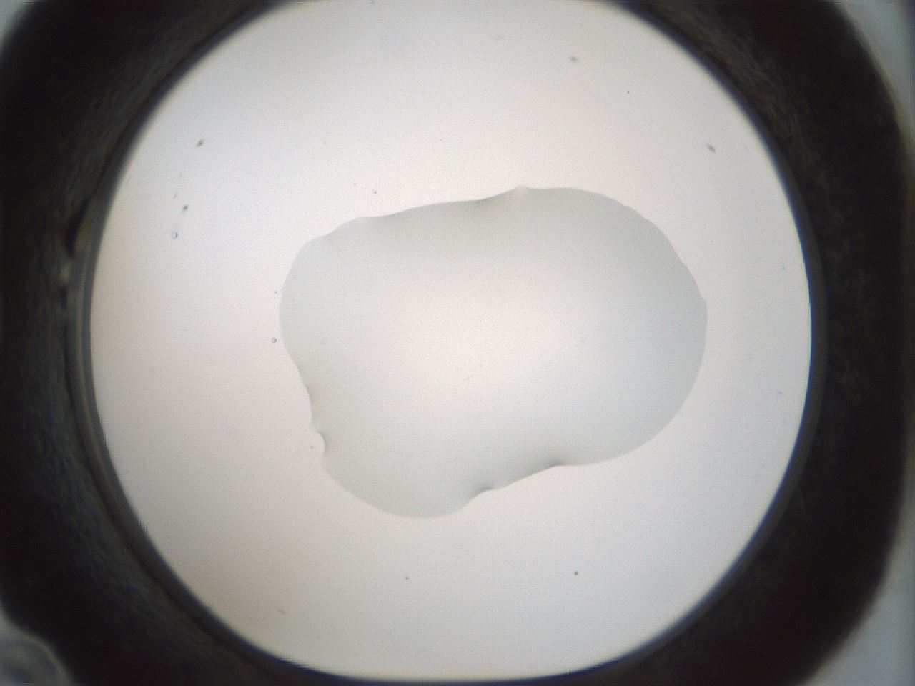 folderID510_plateID1510_batchID5851_wellNum22_profileID1_d1_r95654_ef.jpg