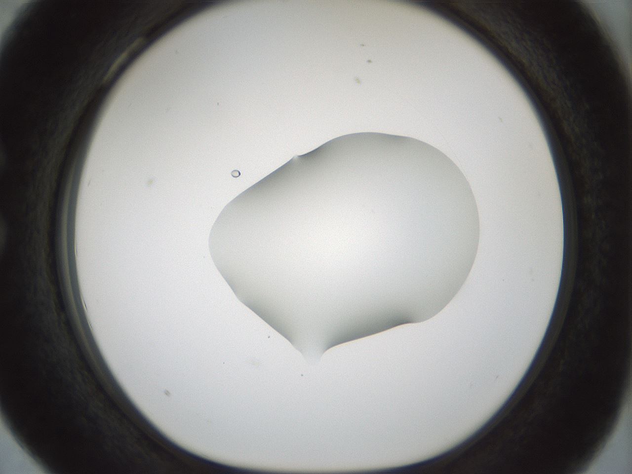 folderID510_plateID1510_batchID5851_wellNum28_profileID1_d1_r95660_ef.jpg