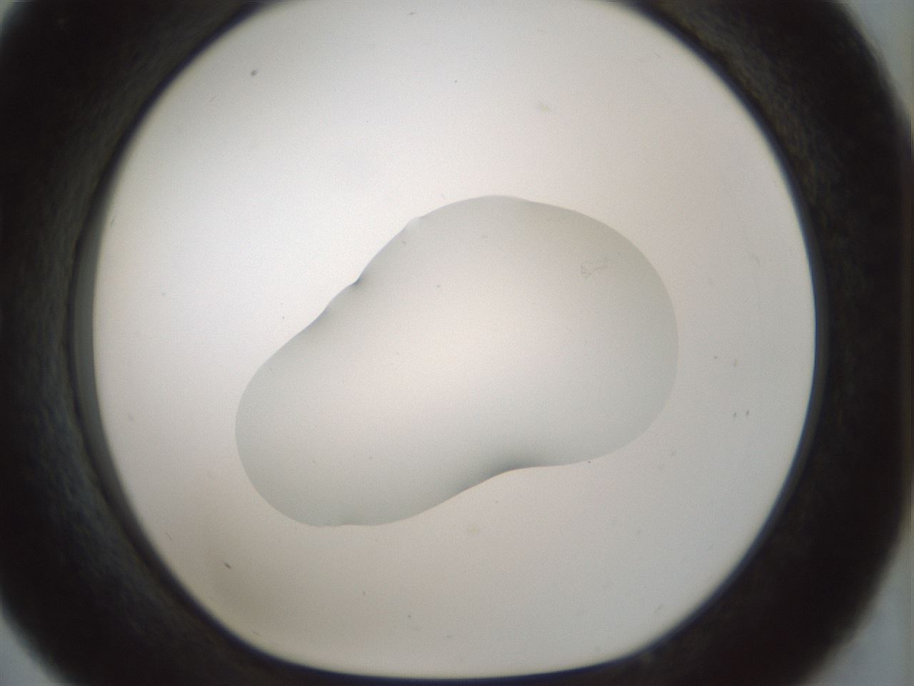folderID510_plateID1510_batchID5851_wellNum33_profileID1_d1_r95665_ef.jpg