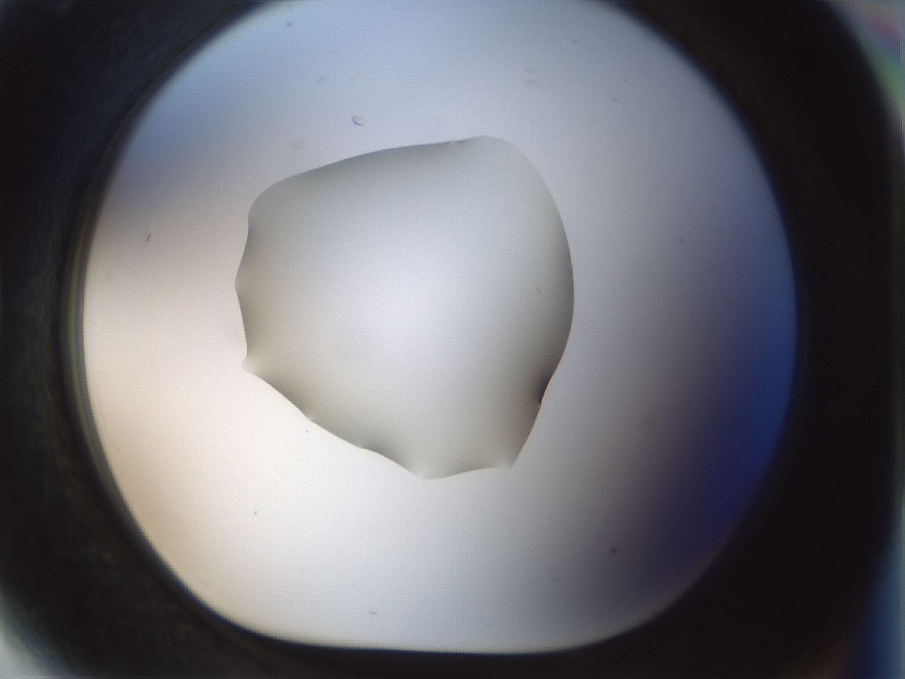 folderID510_plateID1510_batchID5851_wellNum81_profileID1_d1_r95713_ef.jpg