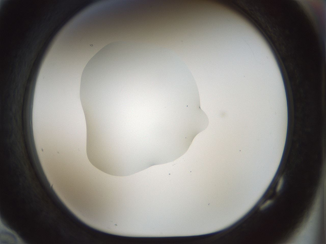folderID510_plateID1510_batchID5851_wellNum82_profileID1_d1_r95714_ef.jpg
