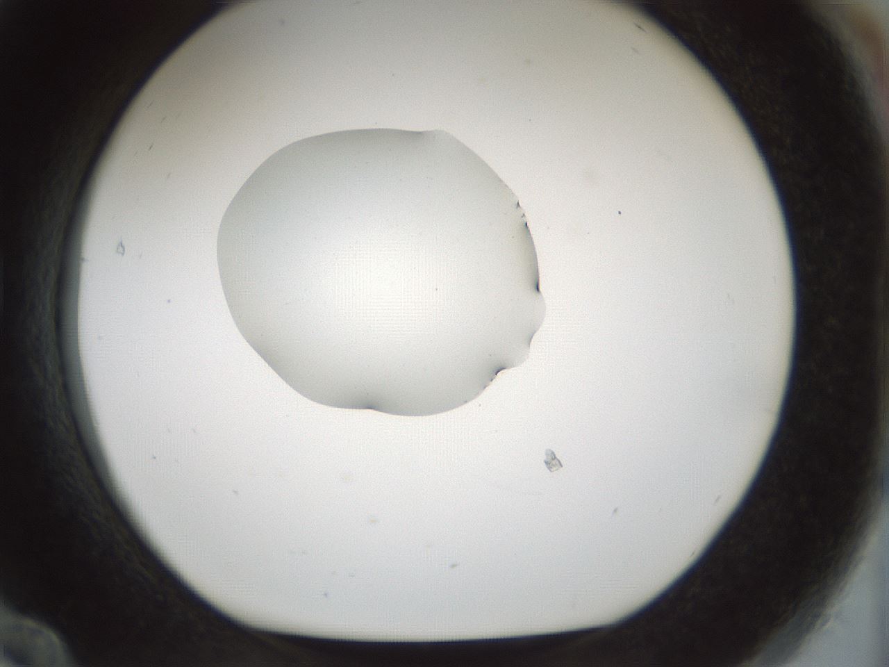 folderID510_plateID1510_batchID5851_wellNum84_profileID1_d1_r95716_ef.jpg