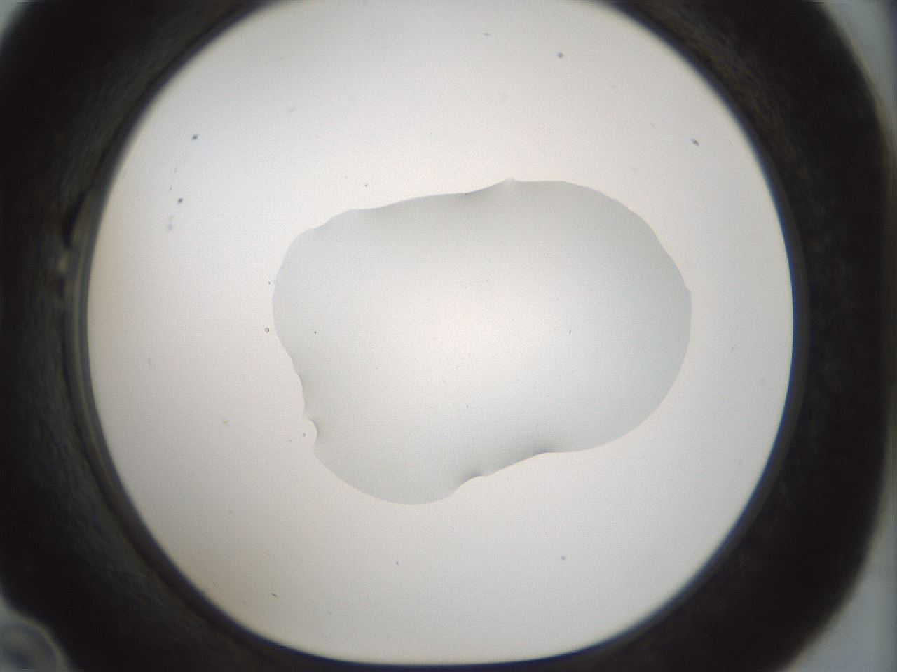 folderID510_plateID1510_batchID5873_wellNum22_profileID1_d1_r95654_ef.jpg