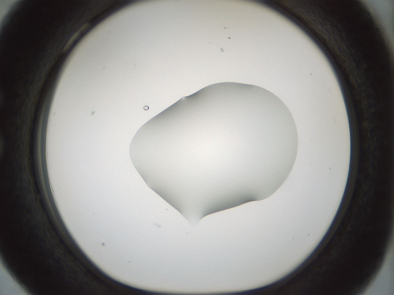 folderID510_plateID1510_batchID5873_wellNum28_profileID1_d1_r95660_ef.jpg