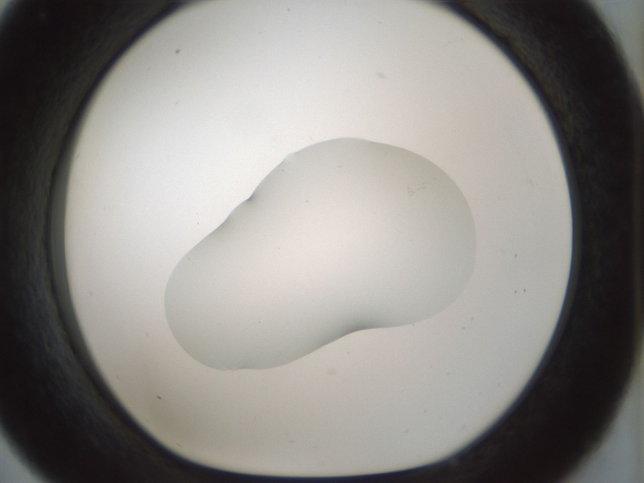 folderID510_plateID1510_batchID5873_wellNum33_profileID1_d1_r95665_ef.jpg
