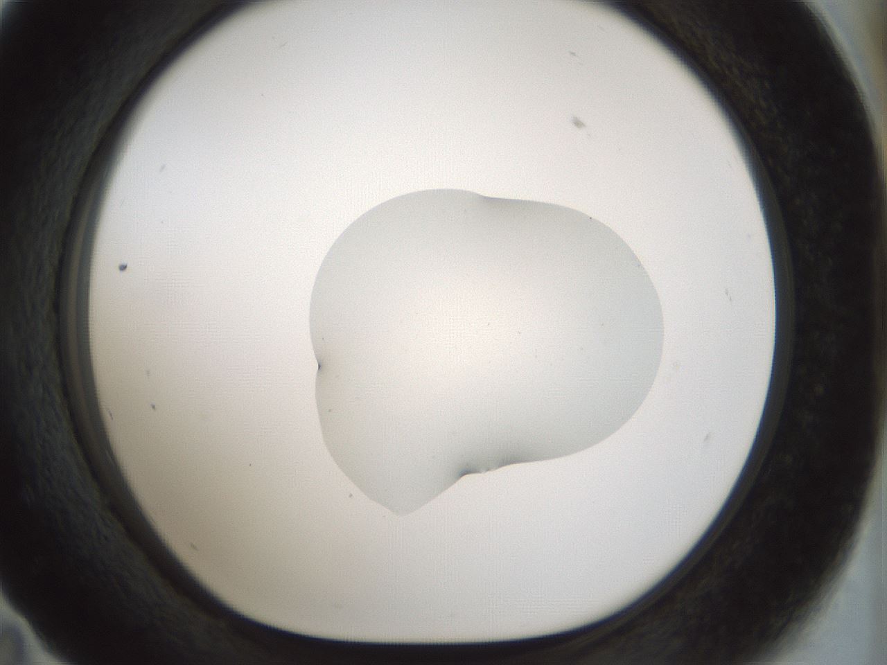 folderID510_plateID1510_batchID5873_wellNum59_profileID1_d1_r95691_ef.jpg