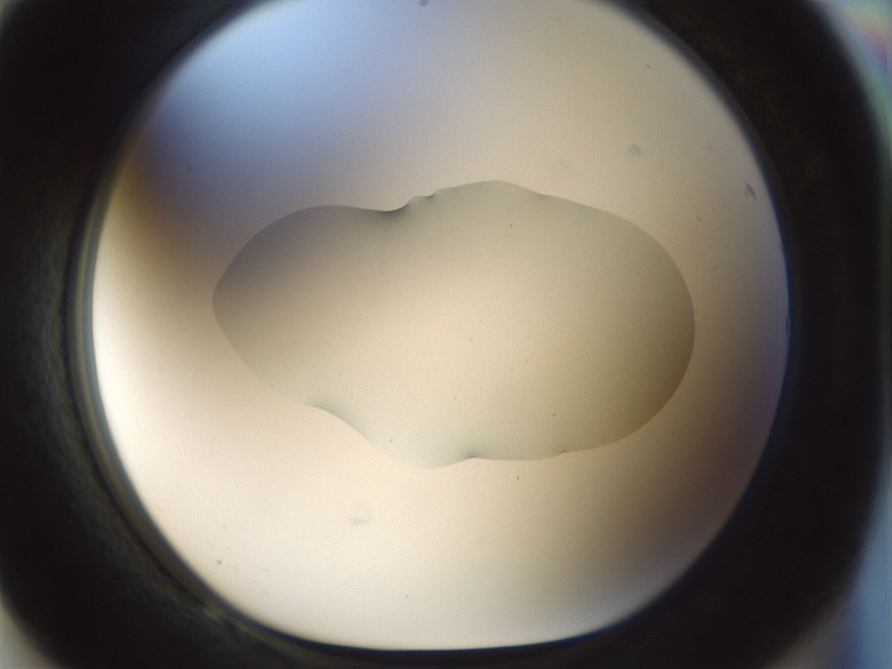 folderID510_plateID1510_batchID5873_wellNum68_profileID1_d1_r95700_ef.jpg