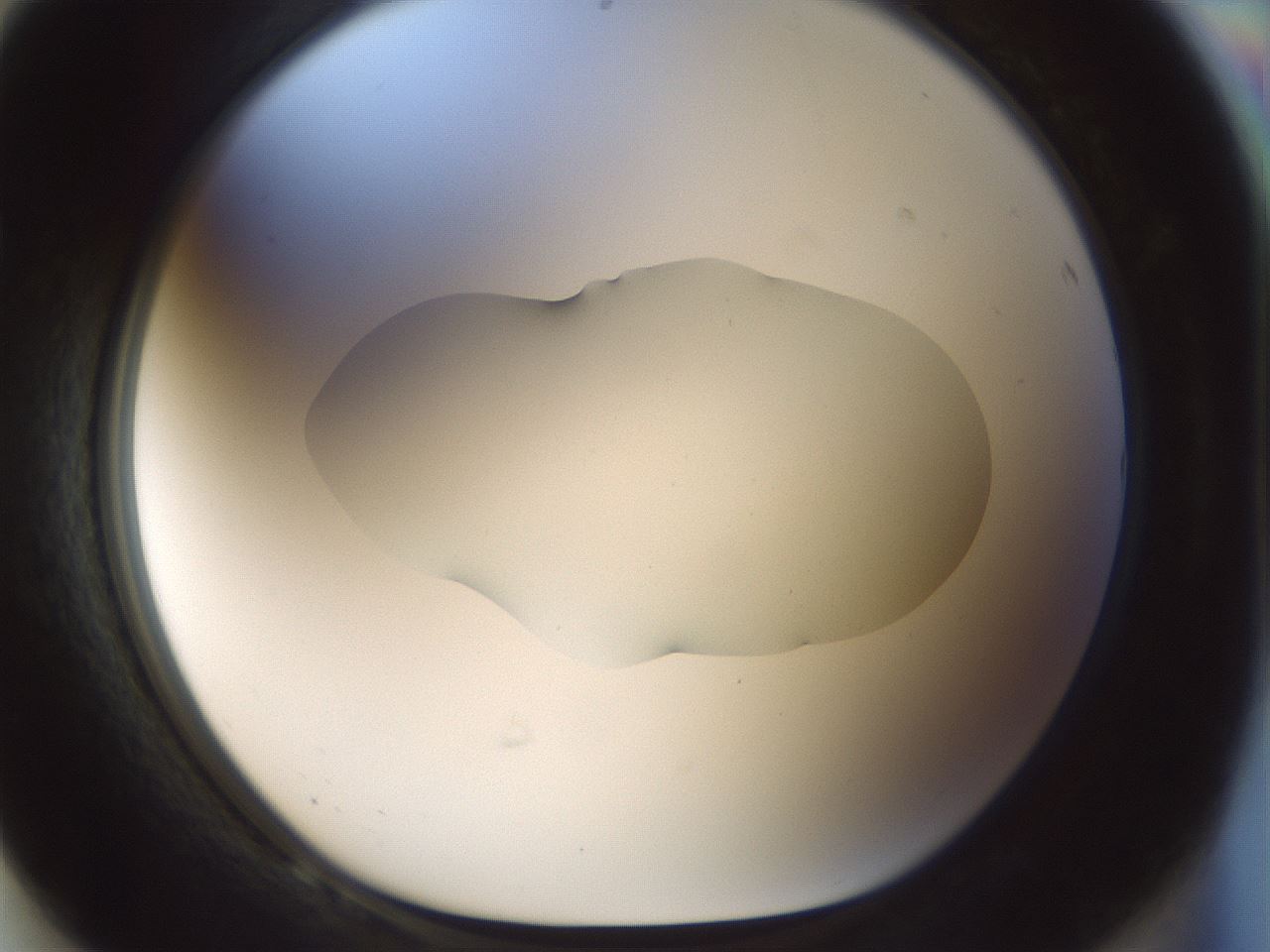 folderID510_plateID1510_batchID5851_wellNum68_profileID1_d1_r95700_ef.jpg