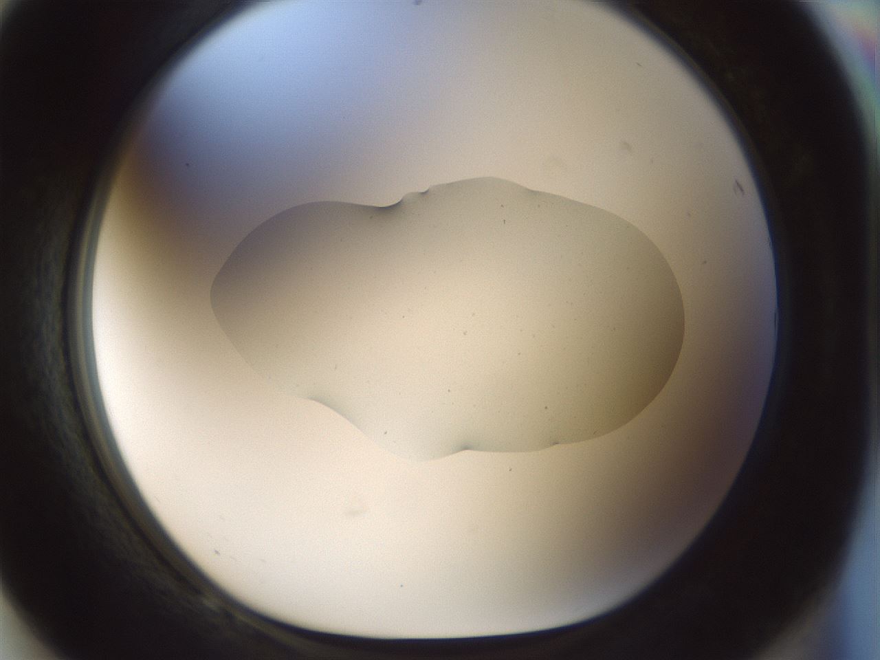 folderID510_plateID1510_batchID5940_wellNum68_profileID1_d1_r95700_ef.jpg