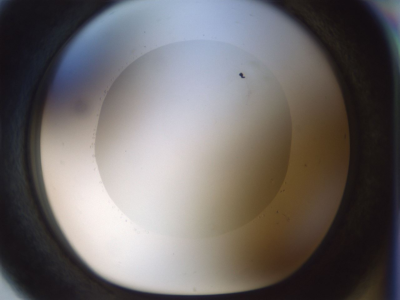 folderID514_plateID1514_batchID5855_wellNum80_profileID1_d1_r96751_ef.jpg