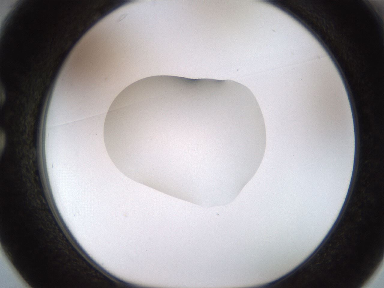folderID511_plateID1511_batchID5941_wellNum25_profileID1_d1_r95753_ef.jpg